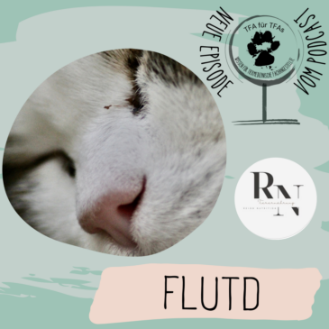 FLUTD – Feline Lower Urinary Tract Disease