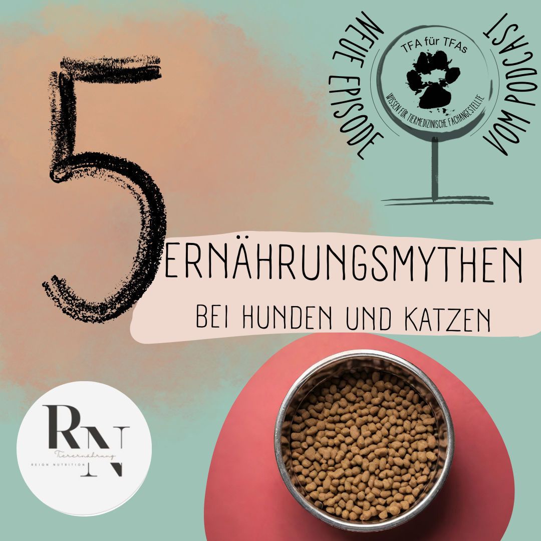 5 Ernährungsmythen bei Hunden und Katzen