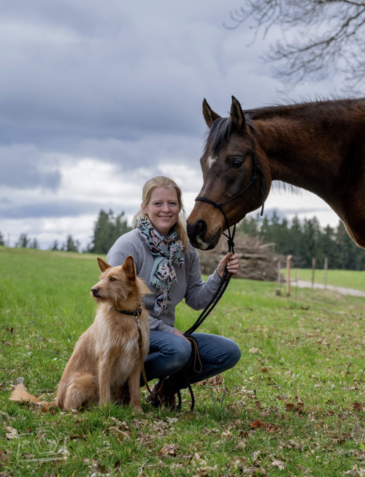 Hund, Mensch und Pferd - Tiermedizinische Fachangestellte